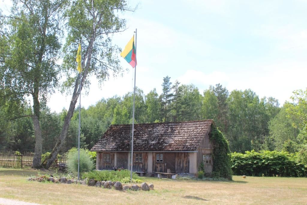 Загородные дома Vieversynė Duokiškis