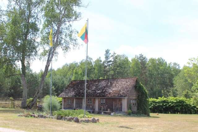 Загородные дома Vieversynė Duokiškis-48